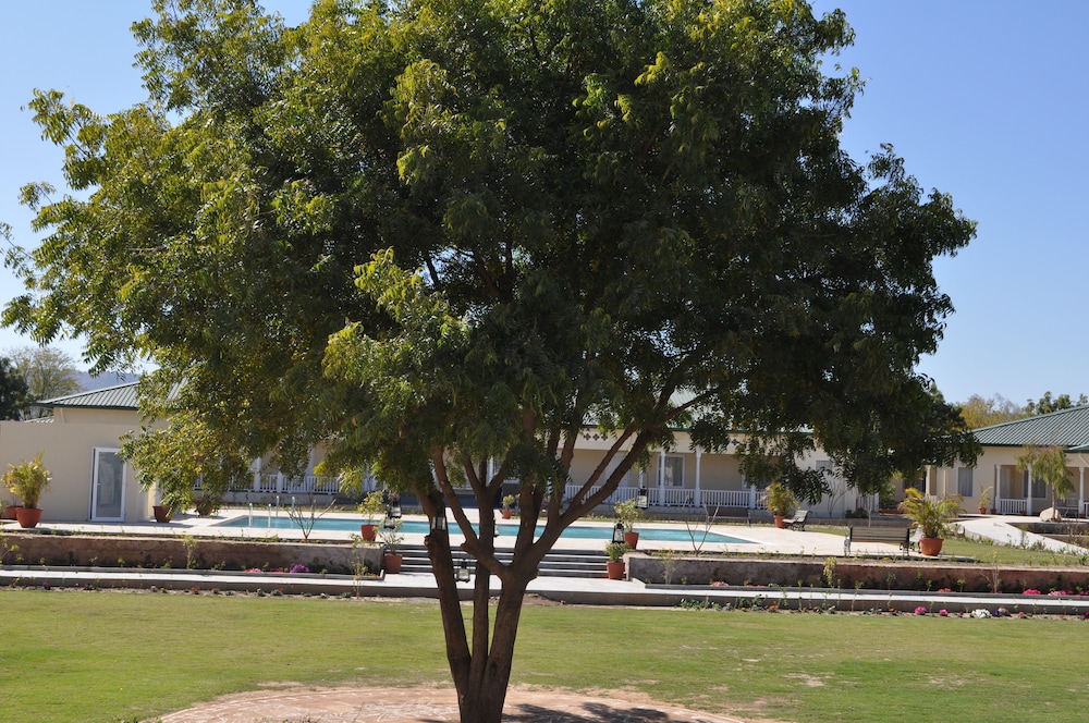 Tree of Life Sariska Manor 42/58
