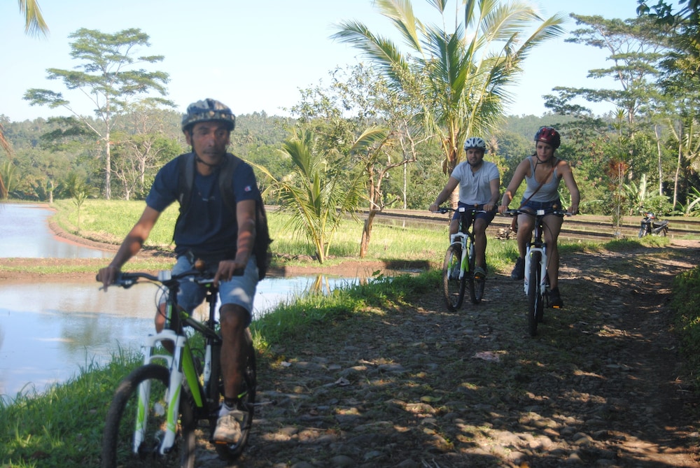 The Bali Bill Villa 26/33