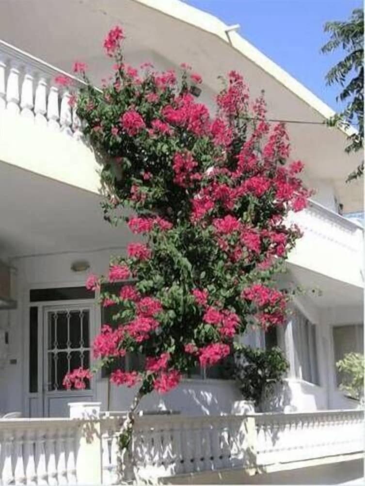 Maria Studios And Apartments photo1