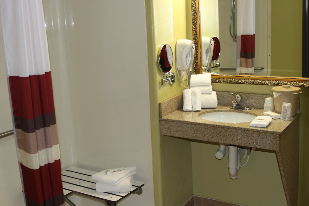 Red Roof Inn and Suites Detroit - Melvindale / Dearborn 15/42