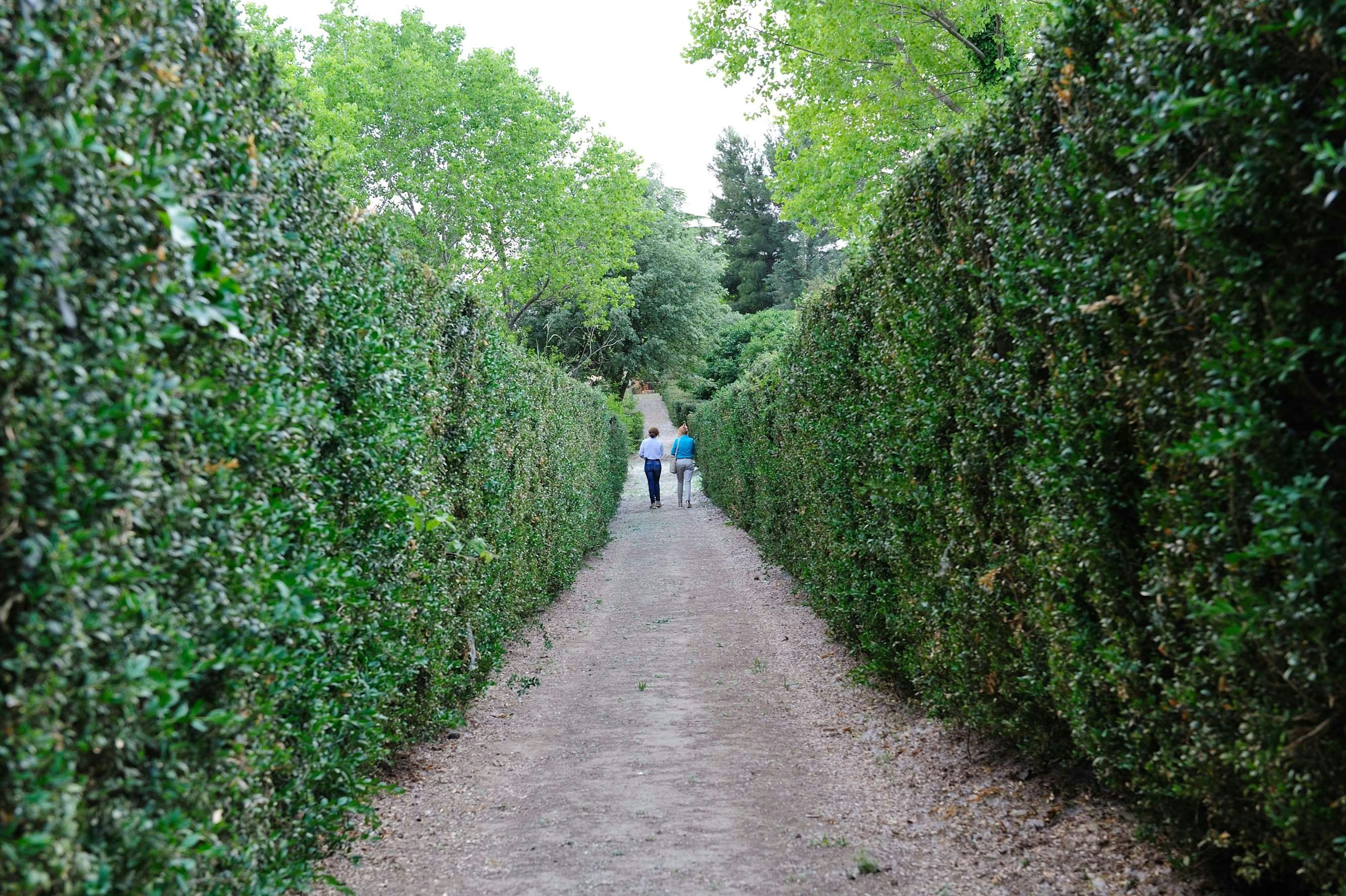 VILLA TRIGONA 40/50