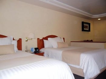 Hive Mexico City by G Hotels 18/56