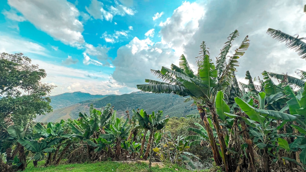 Hotel El Molino Dapa Cali 32/49