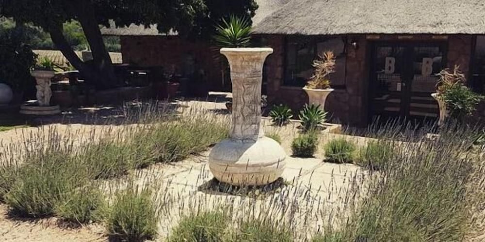 Buffelsvley Guest Farm & Wedding Venue 14/16
