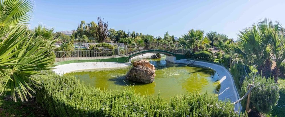 El Cortijo 31/50
