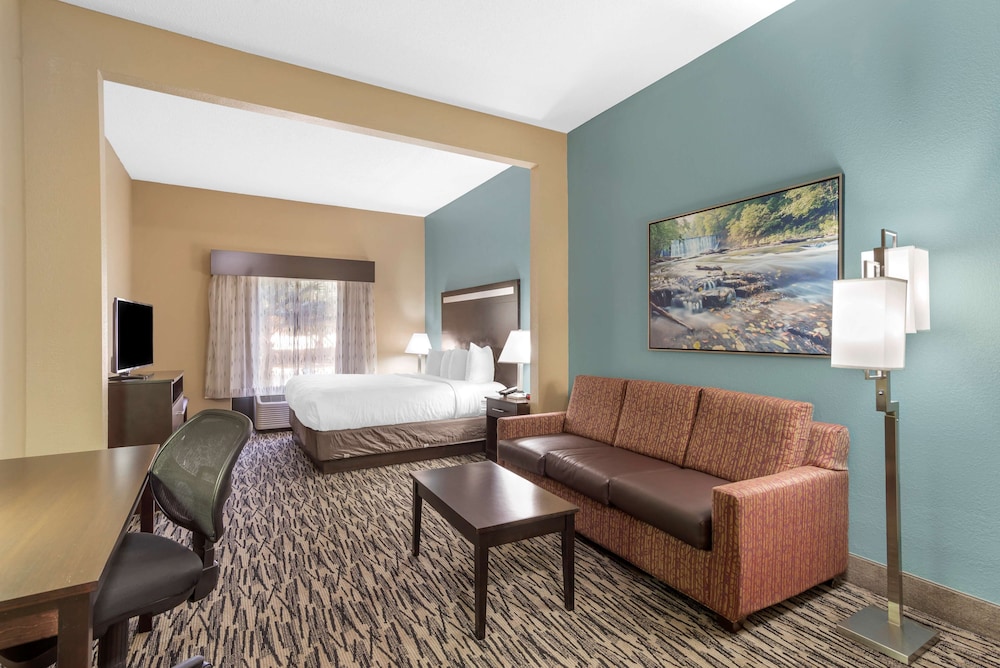 Best Western Plus McDonough Inn & Suites 25/55