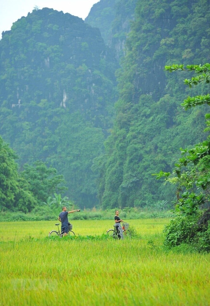 Little Tam Coc 34/50