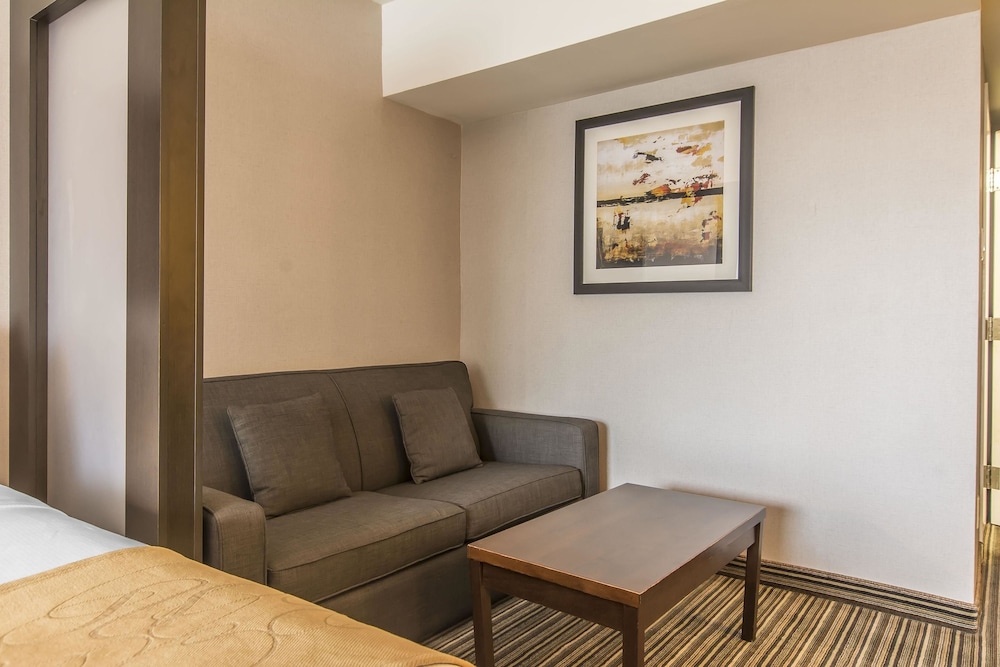 Comfort Suites Downtown Montreal 27/49