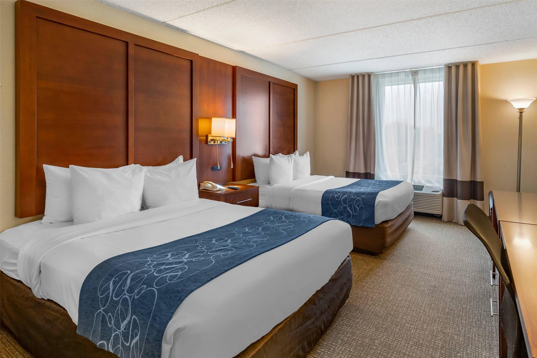 جناح بسريرين كوين، Comfort Suites Manassas Battlefield Park 3/6