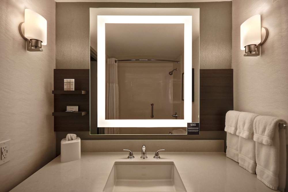 Hilton Garden Inn Detroit Metro Airport 19/45