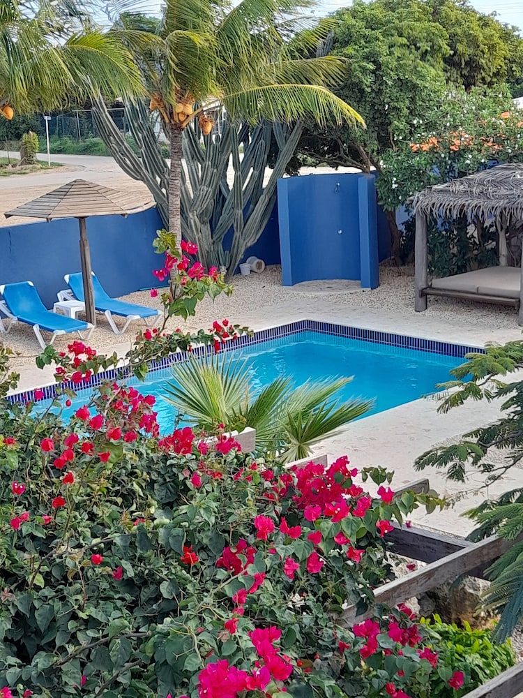 Caribbean Chillout 29/35