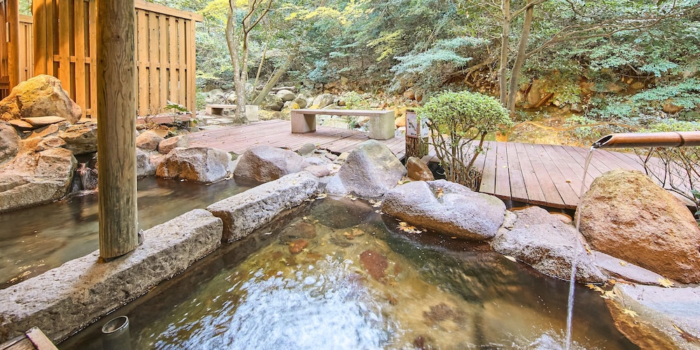 Hotel Seiryuso 26/46