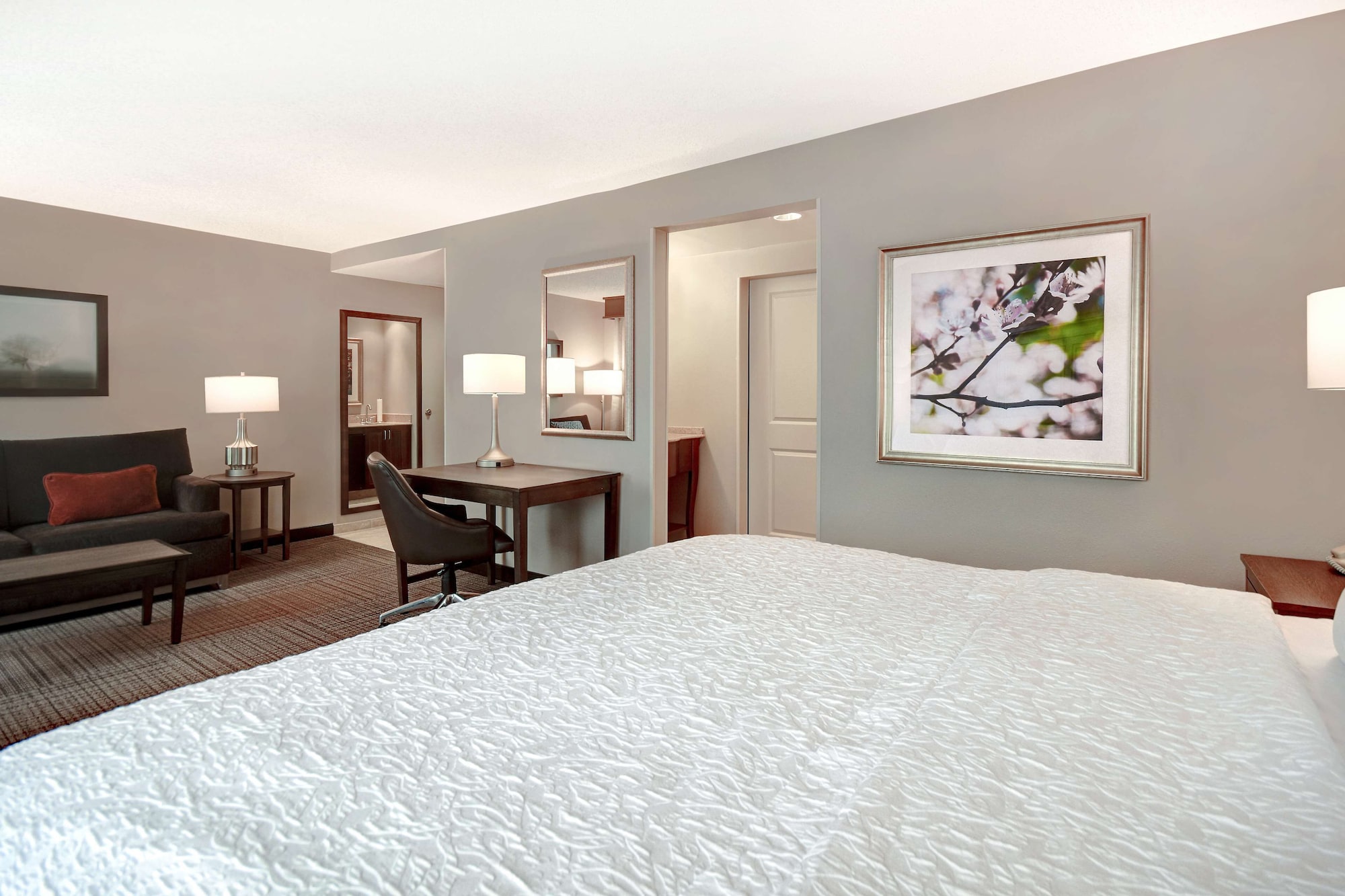 جناح استوديو بسرير كينج مع أريكة، Hampton Inn & Suites Alexandria Old Town Area South 2/8