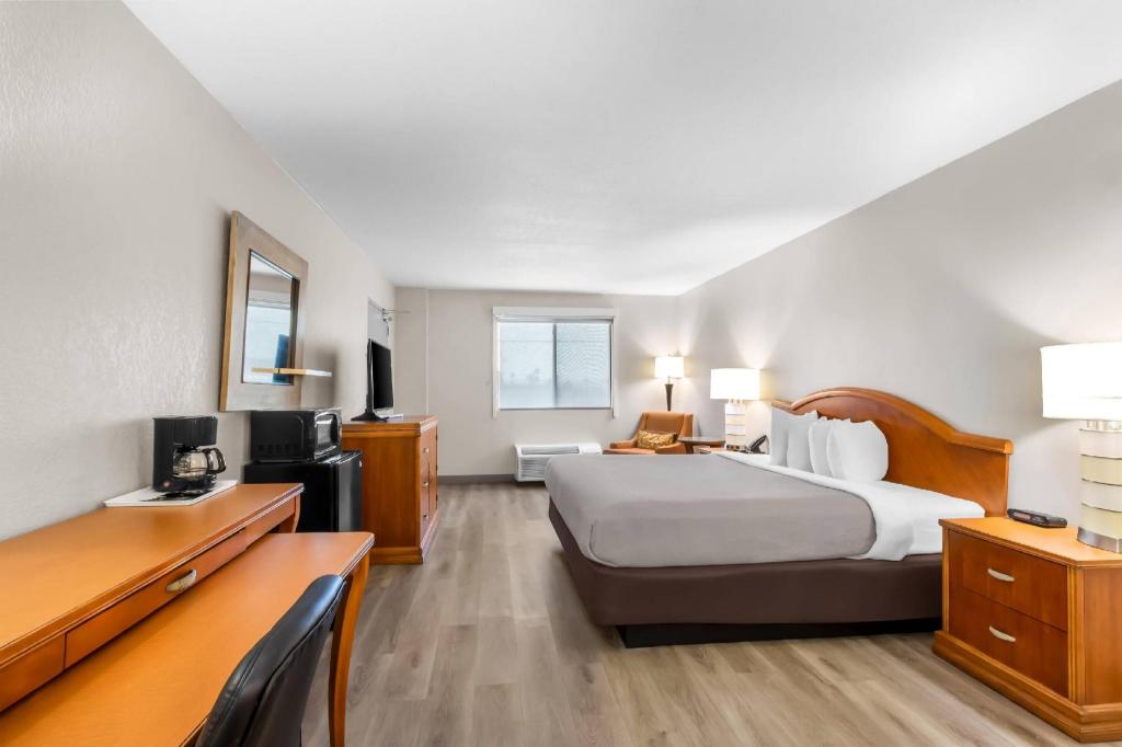 Efficiency, King Bed
