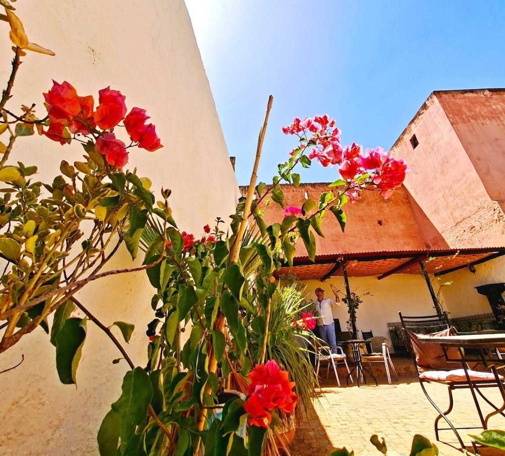 Riad Menthe Et Citron 41/44