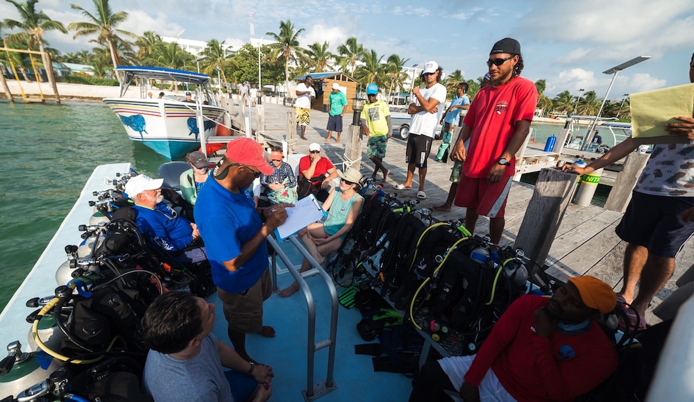Belize Dive Haven 32/50