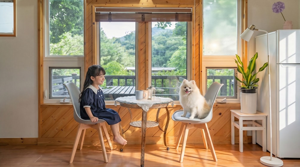 Hongcheon Lime Orange Pension 33/49