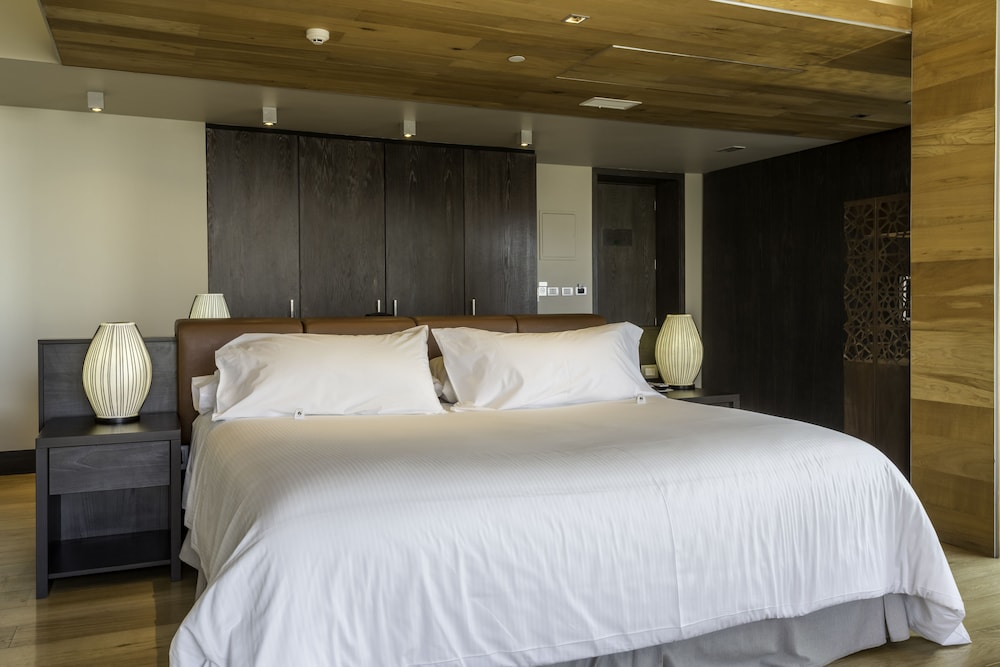 Enjoy Santiago Hotel Del Valle 13/58