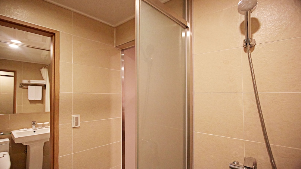 Hotel Skypark Myeongdong Iii Seoul 61/62
