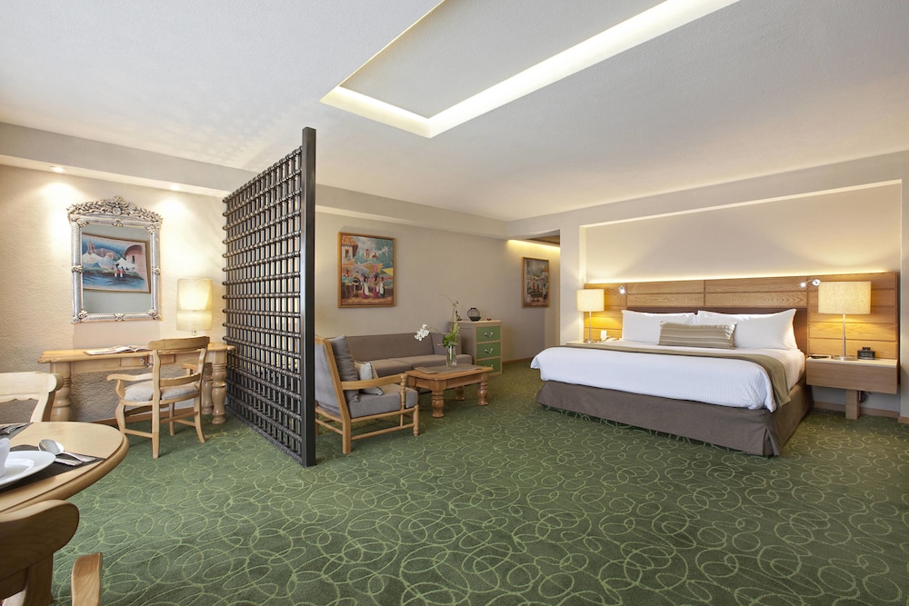 Marriott Tuxtla Gutierrez Hotel 14/41