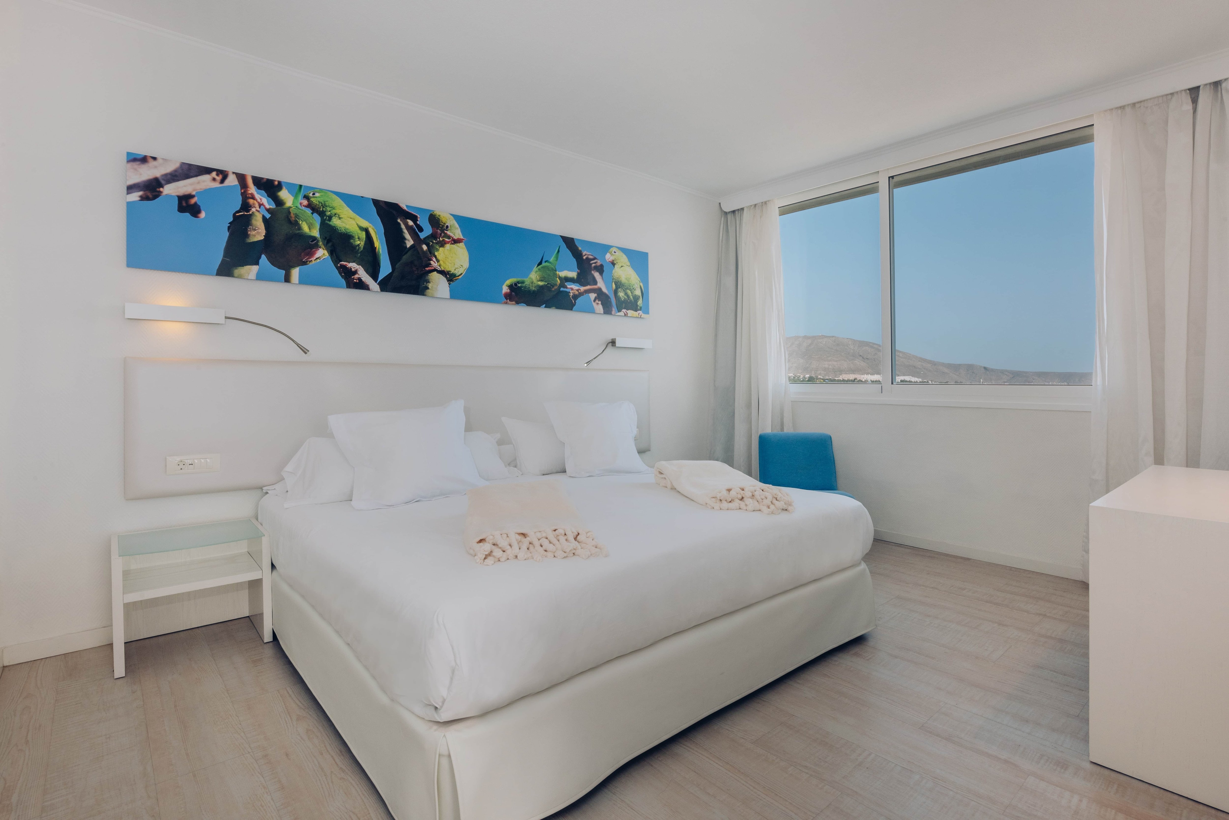 Iberostar Waves Bouganville Playa 14/50