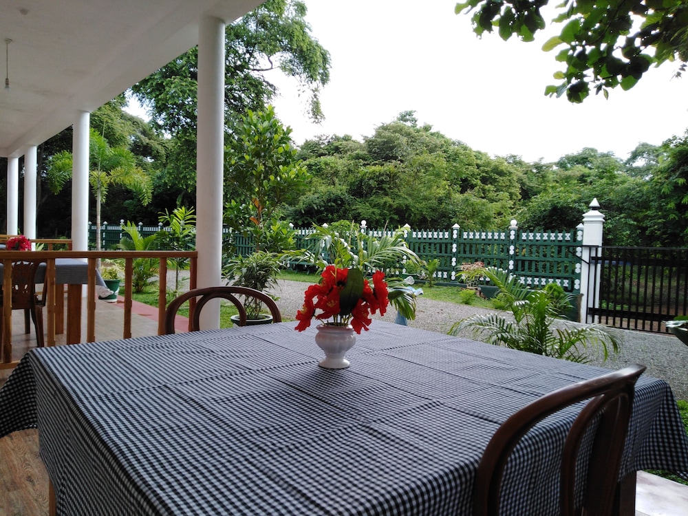 Jungle View Guest 9/23