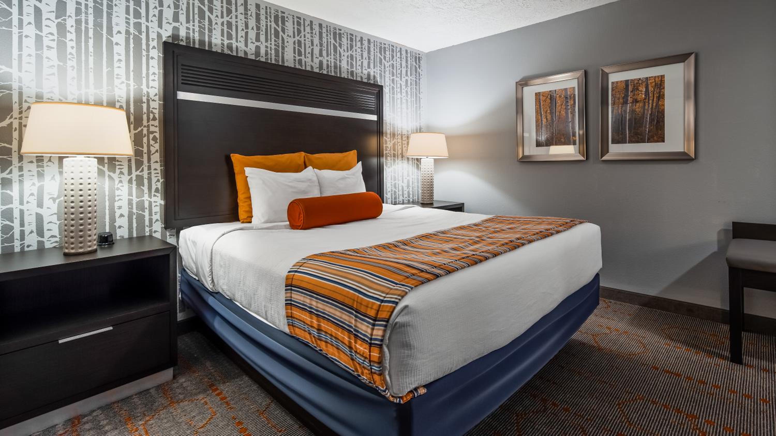 جناح بسرير كينج يُسمح فيها بالحيوانات الأليفة، Best Western Corvallis 3/5