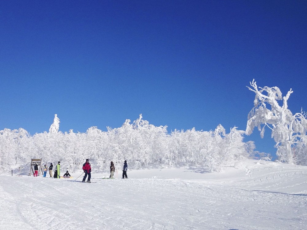 OMO7 Asahikawa by Hoshino Resorts (ex Asahikawa Grand Hotel) 47/49