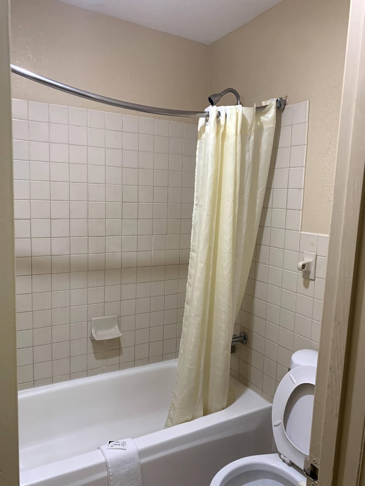 OYO Blue Star Inn 13/65