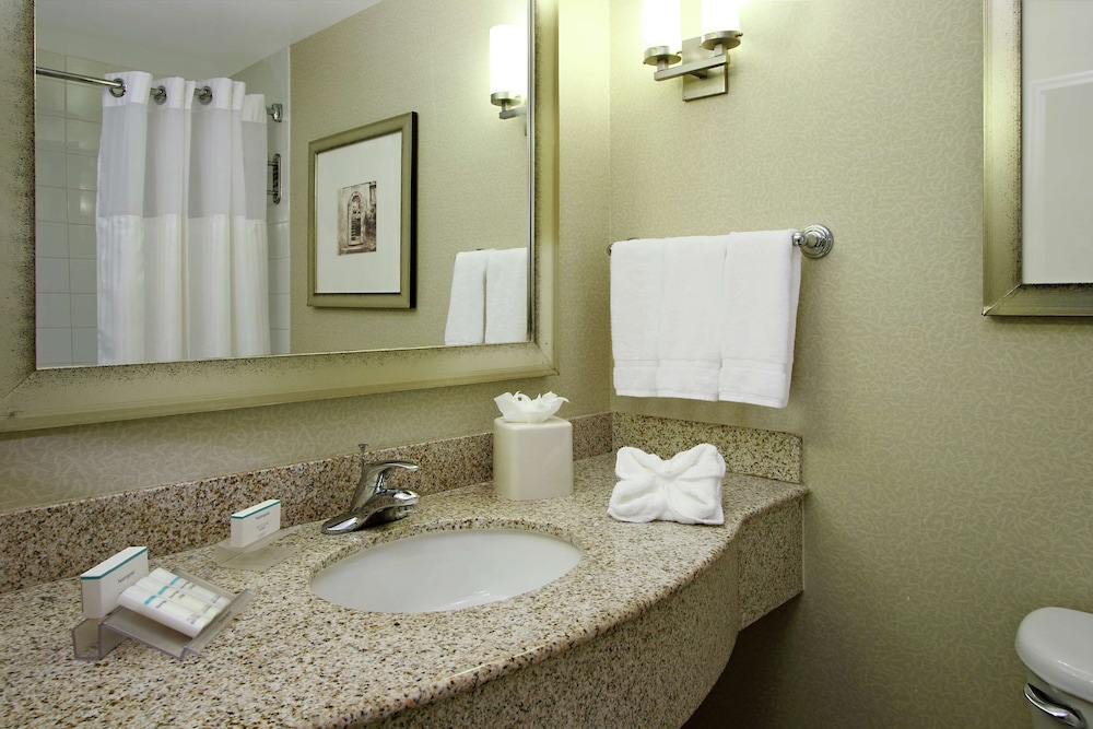 Hilton Garden Inn Miami Airport West 15/64