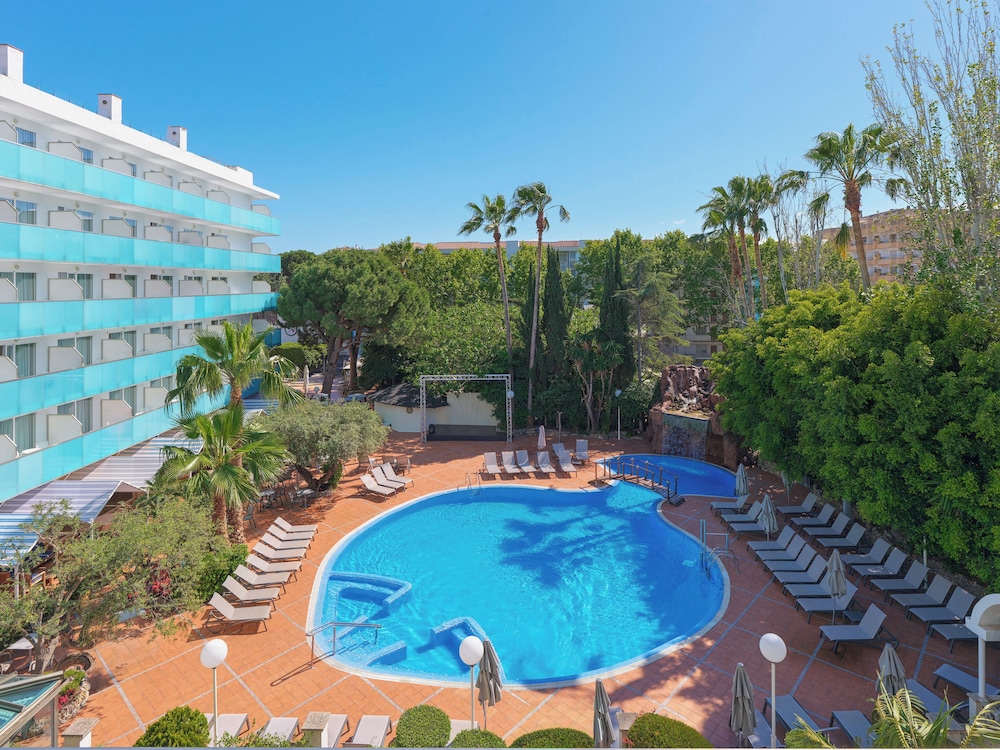 H10 Delfin - Adults Only 40/45