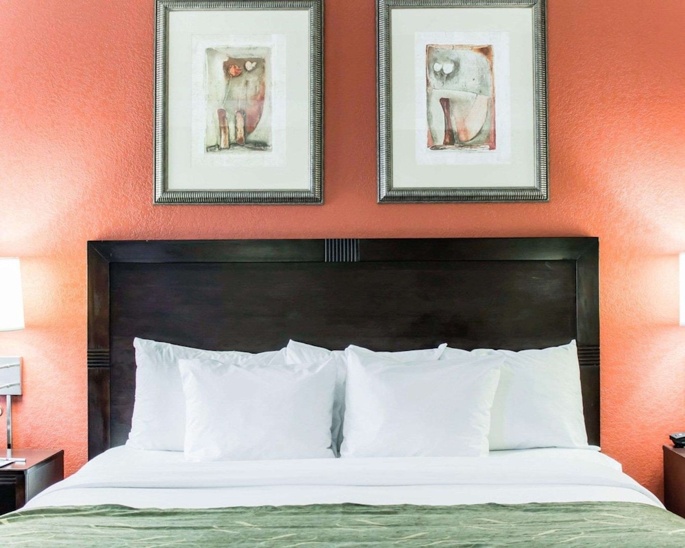 Comfort Suites Regency Park 14/34