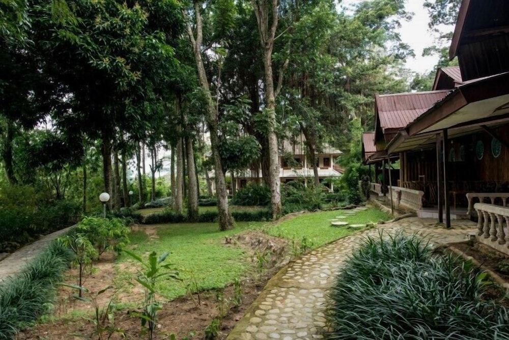 Ecolodge Bukit Lawang 50/58