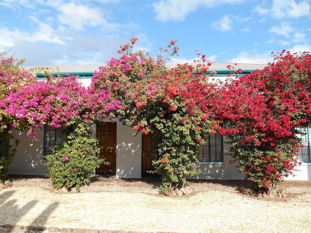 Obesa Lodge 41/47