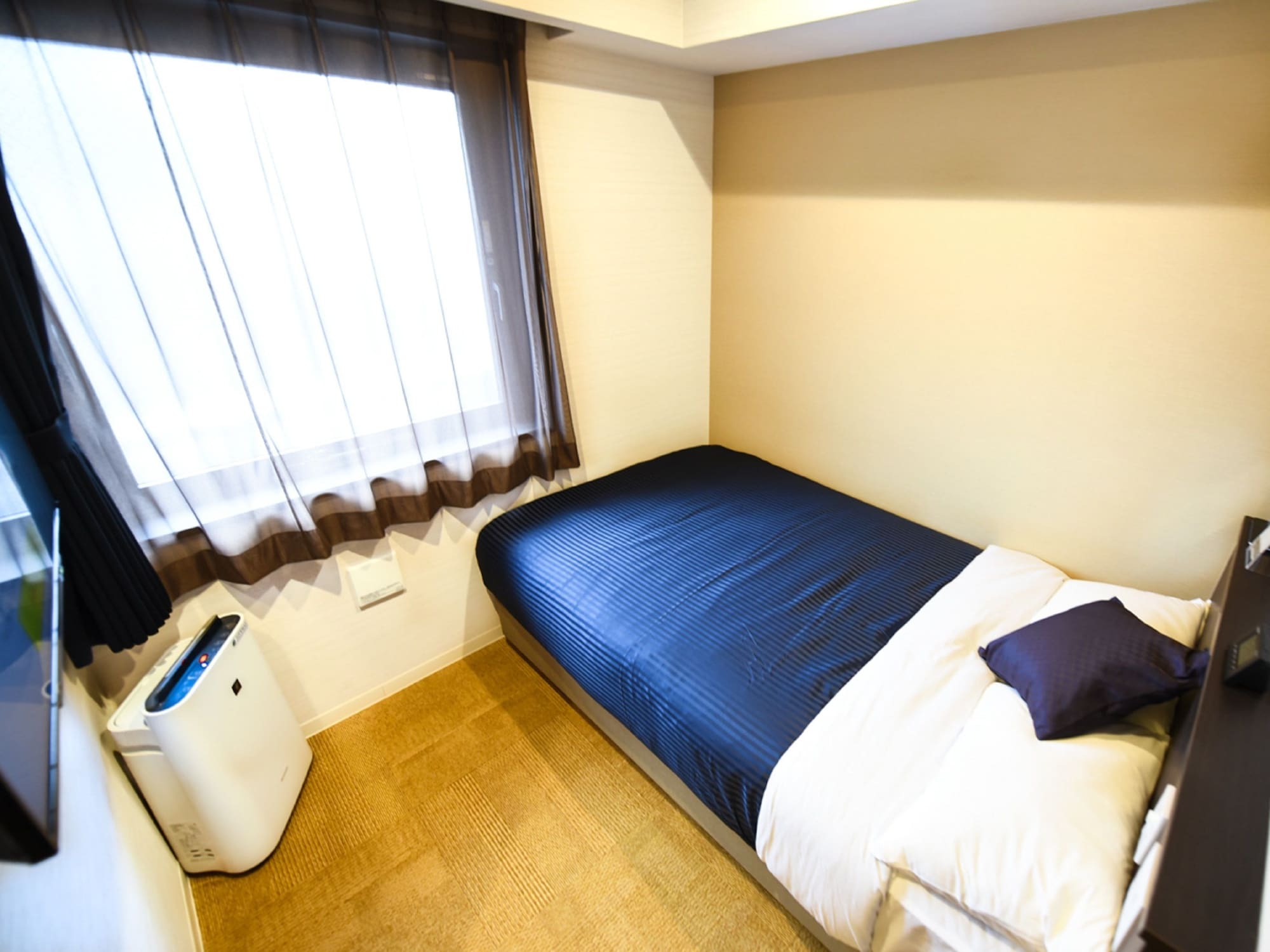 ROOM, SINGLE, PET FRIENDLY
