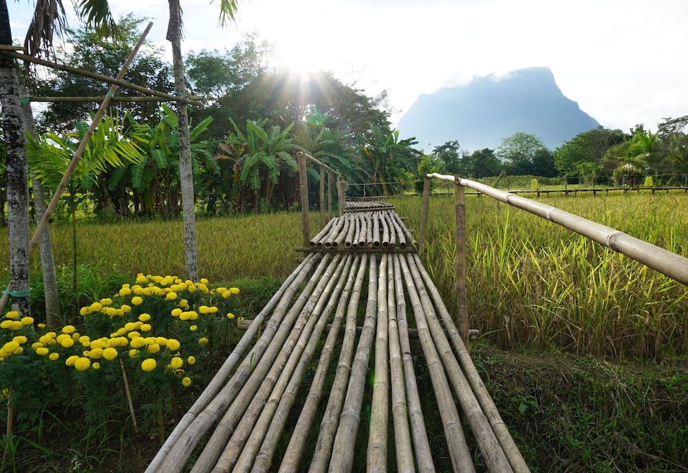 Ban Suan Tawan Chiang Dao 43/50