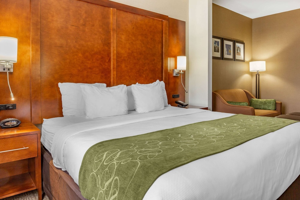 Comfort Suites Dover University Area 16/36