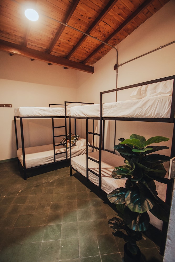 Female Dorm, Female Only, Standard