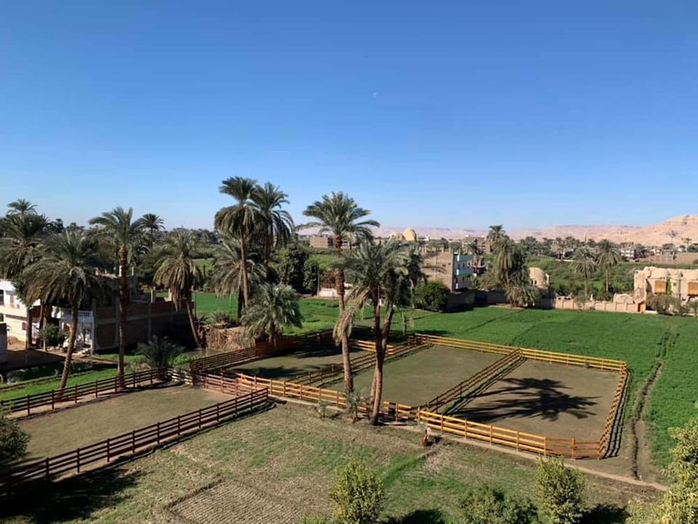 Cleopatra Hotel Luxor 18/33