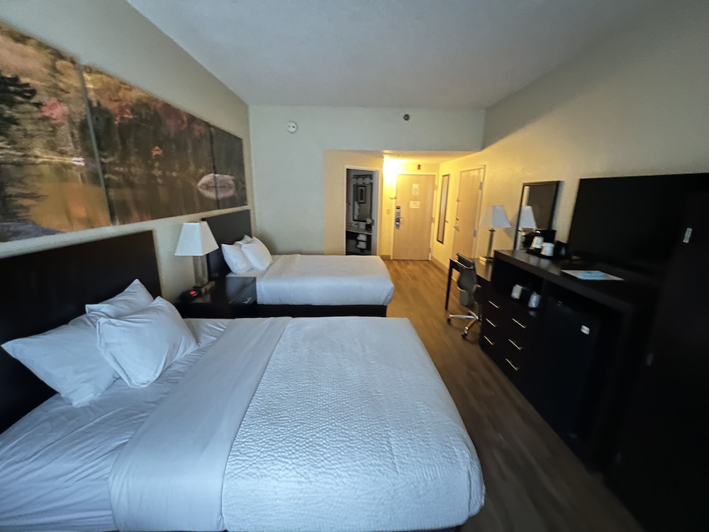 Room, 2 Double Beds