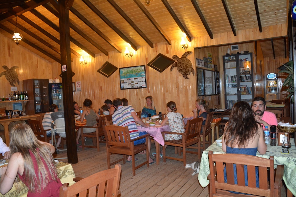 Caretta Caretta Pension 31/43