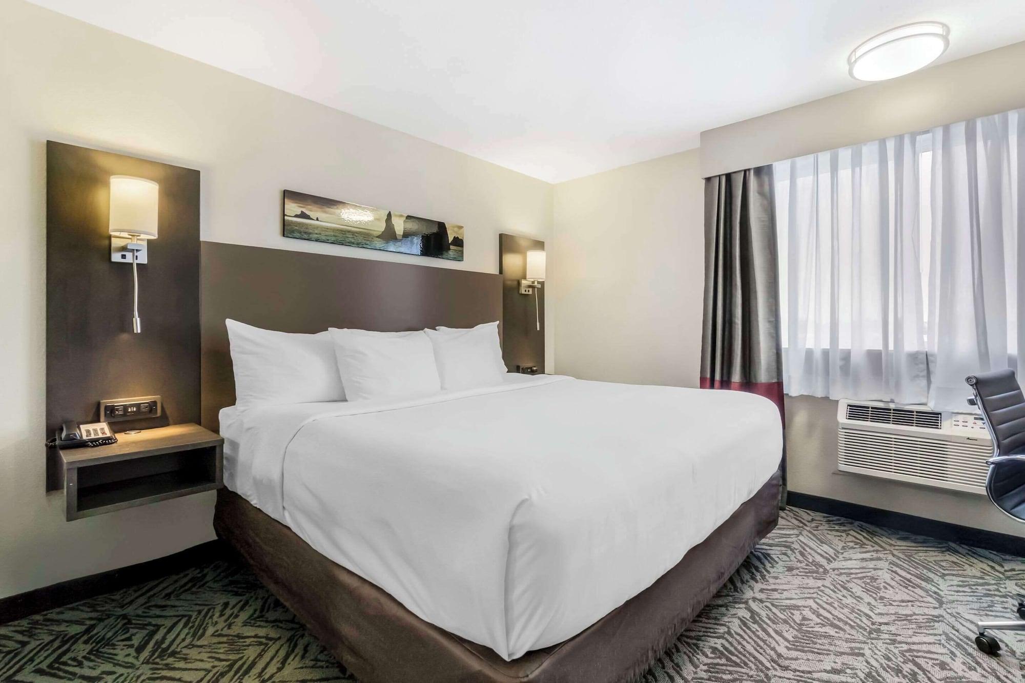 Suite, Multiple Beds