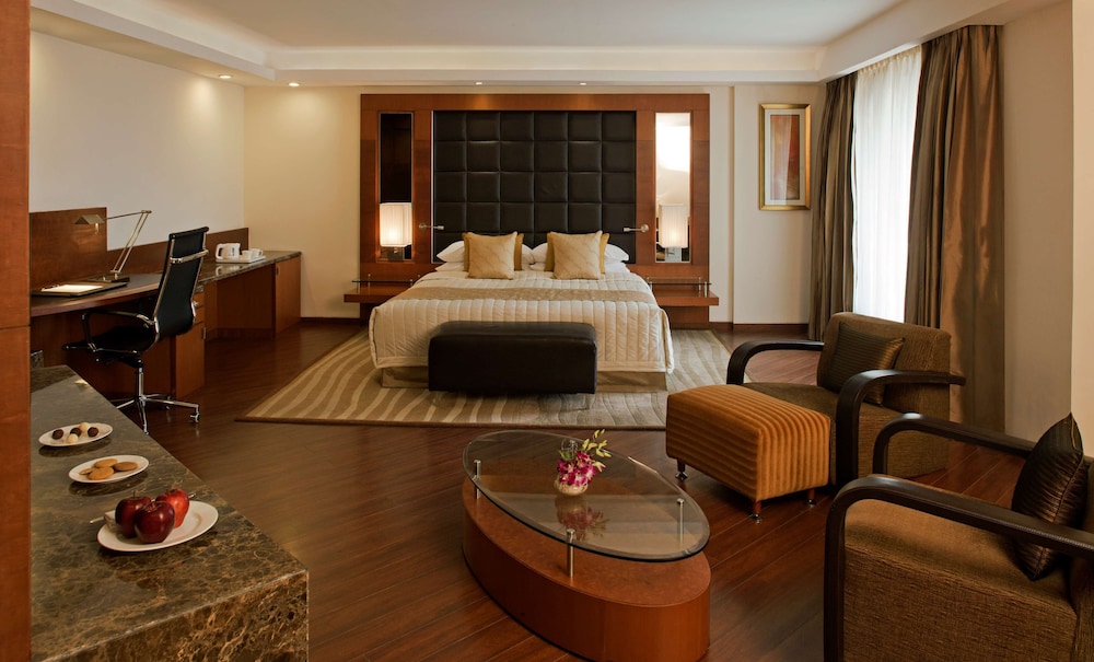Radisson Blu Plaza Hotel Delhi Airport 52/76