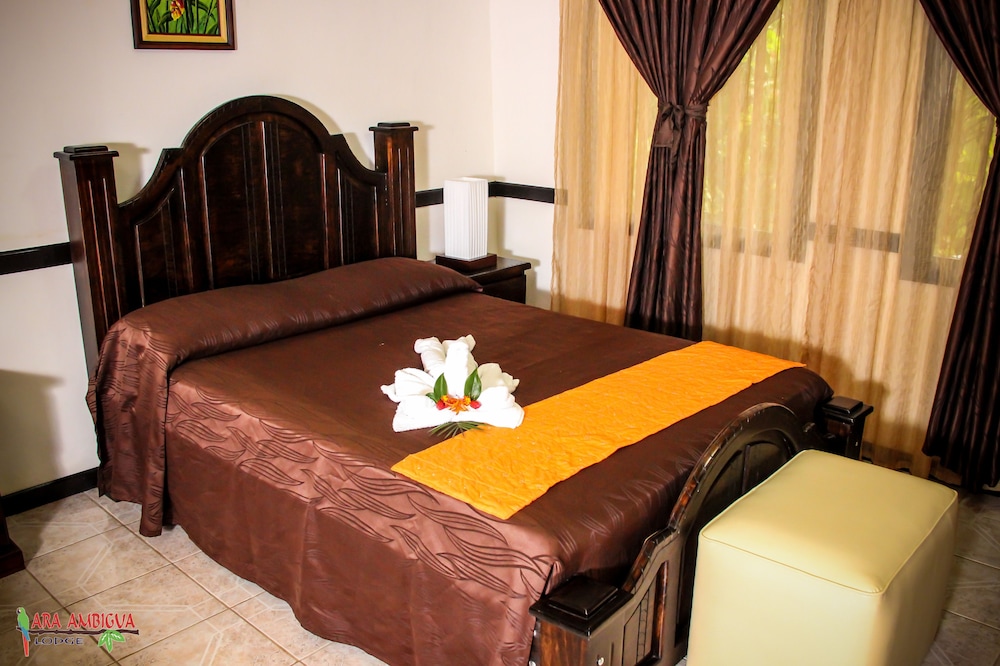 Ara Ambigua Lodge 9/50