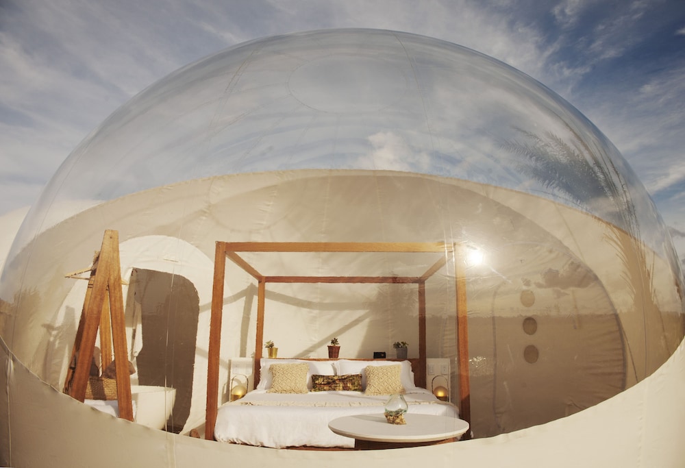 Green Land Bubble Glamping 39/60