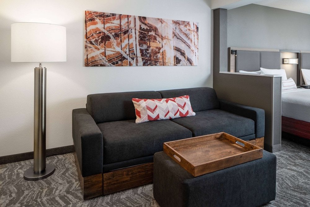 Sonesta Select Nashville Airport Suites 20/33