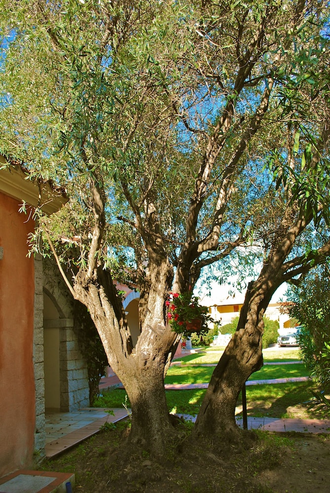 Vecchio Stazzo 45/50