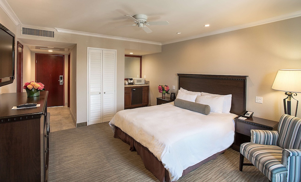 Coast Anabelle Hotel 25/67