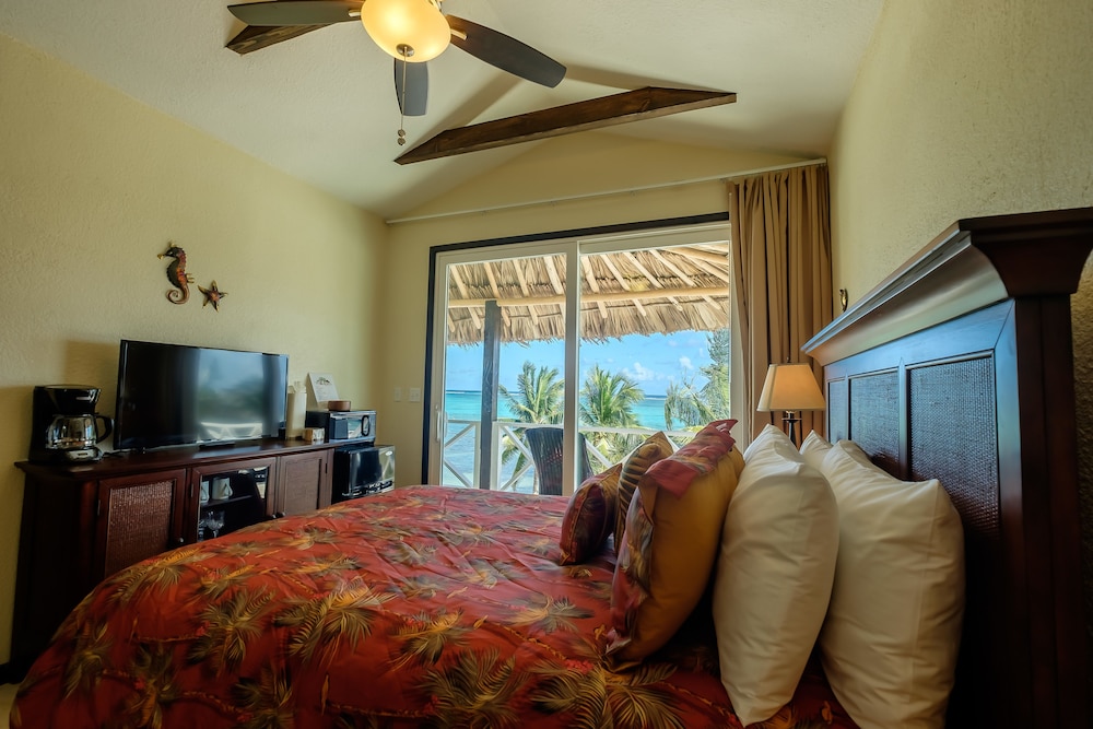 The Palapa House 14/85