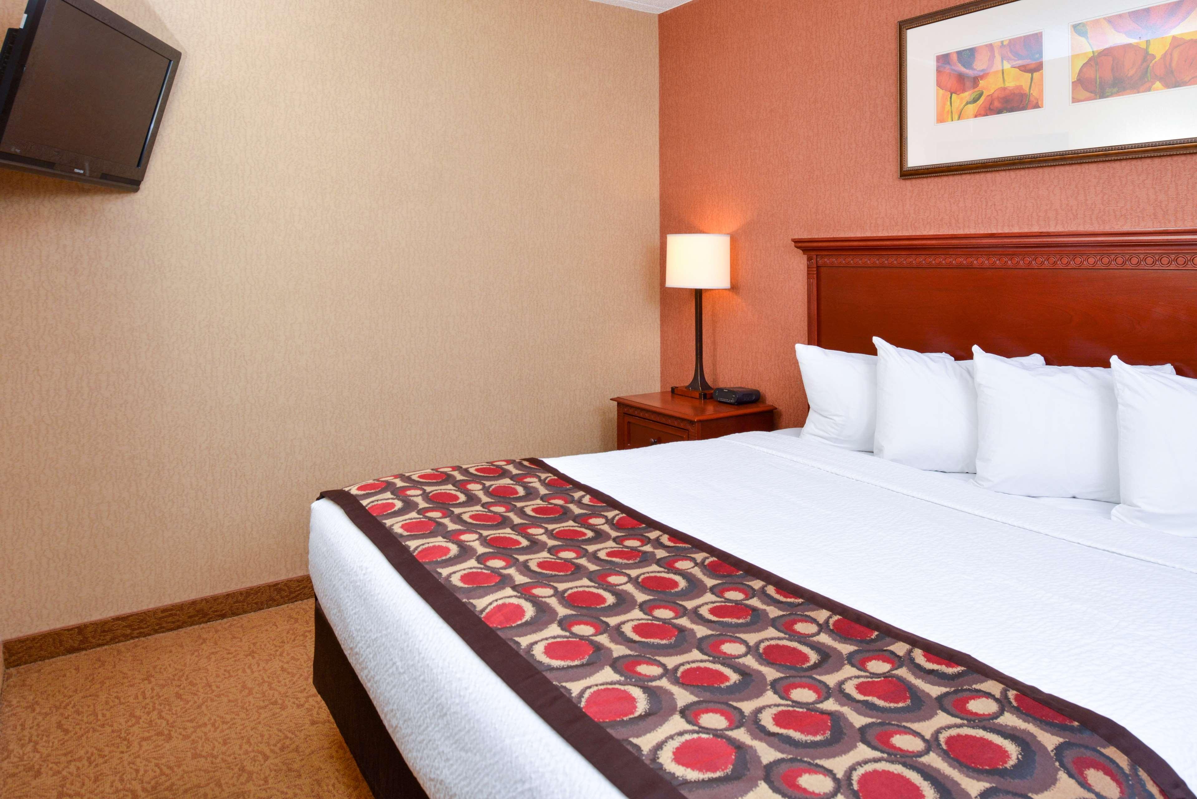 SUITE, KING BED
